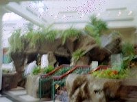 photos 2000-200900425